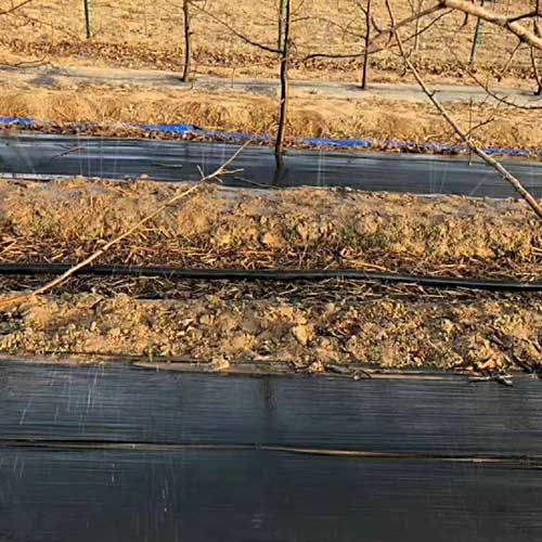 闃茶崏甯?8 闃茶崏甯?8